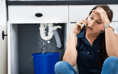 Top 5 Plumbing Issues Homeowners Face in Miami